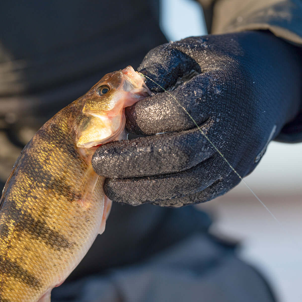 Striker | Stealth Gloves | Ice Fishing Gloves